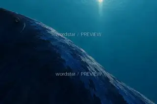 Before the Northern Sea Wakes · Illustration Image