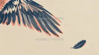 Unclosed Wings · Illustration Image