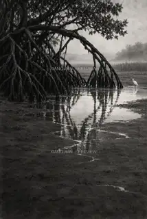 The Handwriting of the Tides · Abstract AI Image