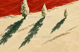Three Unequal Shadows · Illustration Image