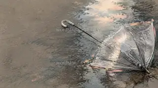 After the rain stops · Illustration Image