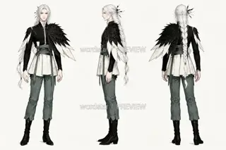 Crane Shadow Governing Spring · Spring Rite Broken Feather · Three Views · Illustration Image