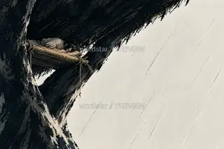 Rain Beyond the Shelter · Illustration Image