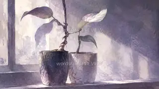 Two Plants on the Windowsill · Illustration Image