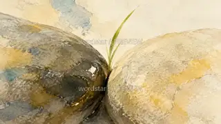 Stones Remember · Illustration Image