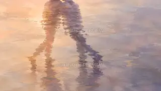The same patch of reflection · Illustration Image